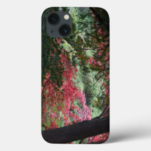 iPhone 13 Coque Forêt d'automne