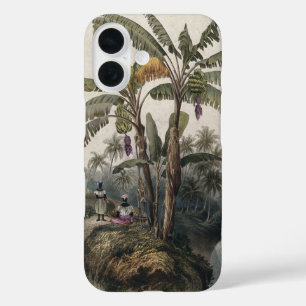 Coques iPhone 16 Forêt de bananiers tropicaux antiques   Bota vinta