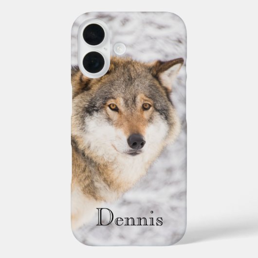 Coques Case-Mate iPhone Forêt d'hiver du loup (Verso)