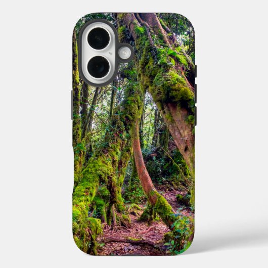 Coques Case-Mate iPhone Forêt moussue (Verso)