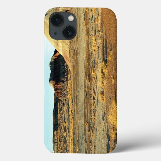 Coques Case-Mate iPhone Forêt Pétrifiée Désert (Verso)