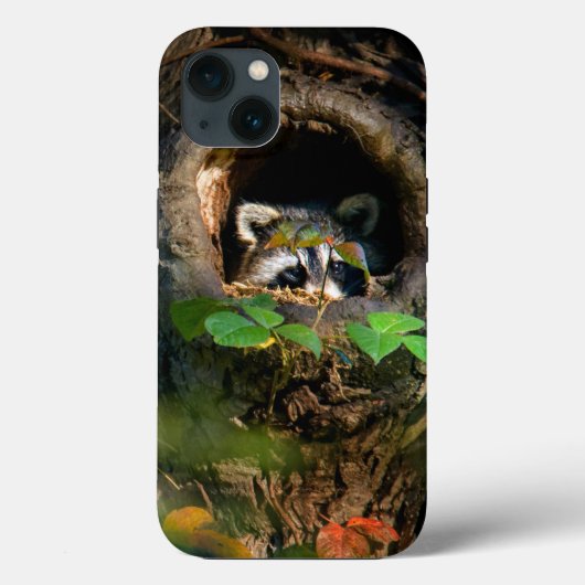 Coques Case-Mate iPhone Forêt | Raccoon Peeking (Verso)