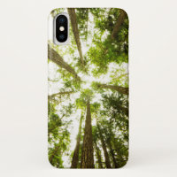 Forêt tropicale verte luxuriante