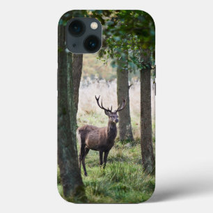 Case-Mate iPhone Case Forêt   Woodlands & Red Deer