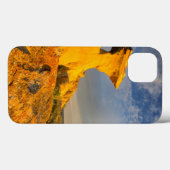 Coques Case-Mate iPhone Formation De Badlands Sculptés Dans L'Herbe Courte (Verso (horizontal))