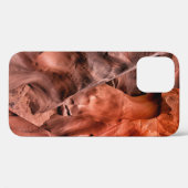 Coques Case-Mate iPhone formations rocheuses Brown (Verso (horizontal))