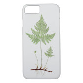 Coques Case-Mate iPhone fougère simple, (Dos)