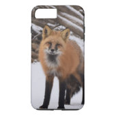 Coques Case-Mate iPhone Fox (Dos)