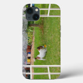 Coques Case-Mate iPhone Fox Terrier Play Ball, (Verso)