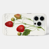 Coques Case-Mate iPhone Fraises vintages (Verso (horizontal))
