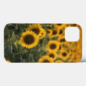 Coques Case-Mate iPhone France, Vaucluse, champ de tournesols (Verso (horizontal))
