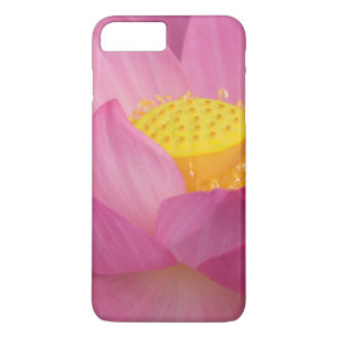Case-Mate iPhone Case Franklin NC, jardin d'eau de Perry, Lotus 2