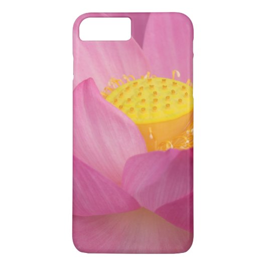 Coques Case-Mate iPhone Franklin NC, jardin d'eau de Perry, Lotus 2 (Dos)