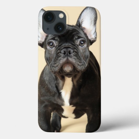Coques Case-Mate iPhone French Bulldog Puppy (Verso)