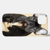 Coques Case-Mate iPhone French Bulldog Puppy (Verso (horizontal))