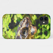 COQUES Case-Mate iPhone FROG (Dos (Horizontal))