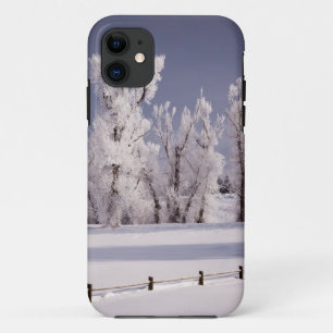 Coque iPhone 11 Frost a couvert les arbres et la barrière, le