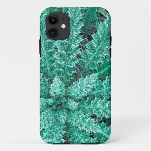 Coques Case-Mate iPhone Frost On Thistle, Parc National Olympique (Dos)