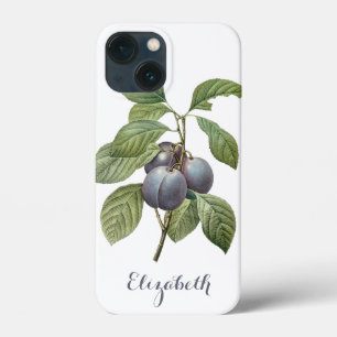iPhone 13 Mini Coque Fruit vintage, Plums pourpres de jardin par Redout