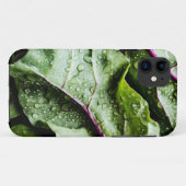 Coques Case-Mate iPhone Fruits sains (Dos (Horizontal))