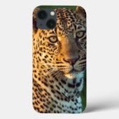 Coques Case-Mate iPhone Full-Grown Cub (Verso)