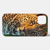 Coques Case-Mate iPhone Full-Grown Cub (Verso (horizontal))