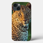 Coques Case-Mate iPhone Full-Grown Cub (Verso)