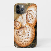 COQUES Case-Mate iPhone FUNGI (Dos)