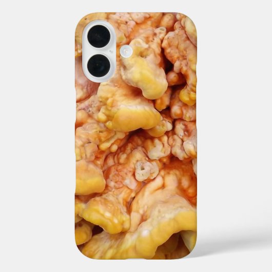 Coques Case-Mate iPhone Fungus orange (Verso)