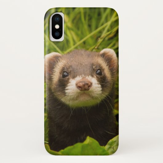 Coques Case-Mate iPhone Furet Brun Mignon dans l'Herbe (Dos)