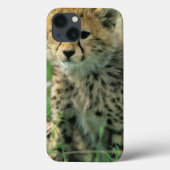 Coques Case-Mate iPhone Fuzzy Cheetah Cub (Verso)