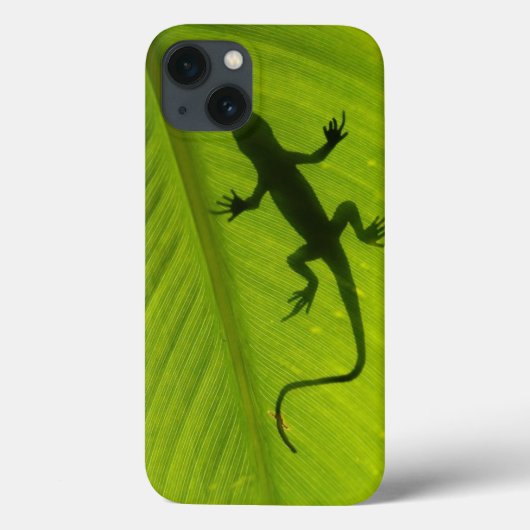 Coques Case-Mate iPhone Gecko Silhouette (Verso)