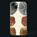 Coques Pour iPhone Gemmes Dollars De Sable<br><div class="desc">Les dollars de sable sont un bijou marin très unique. Cette image englobe des dollars de sable très uniques et colorés. Diderot a comparé ces dollars de sable à un arrière - plan de couleur crème douce. Obtenez vos gemmes de dollar de sable sur votre produit zazzle aujourd'hui.</div>