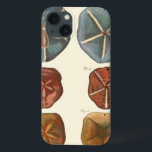 Coques Pour iPhone Gemmes Dollars De Sable<br><div class="desc">Les dollars de sable sont un bijou marin très unique. Cette image englobe des dollars de sable très uniques et colorés. Diderot a comparé ces dollars de sable à un arrière - plan de couleur crème douce. Obtenez vos gemmes de dollar de sable sur votre produit zazzle aujourd'hui.</div>