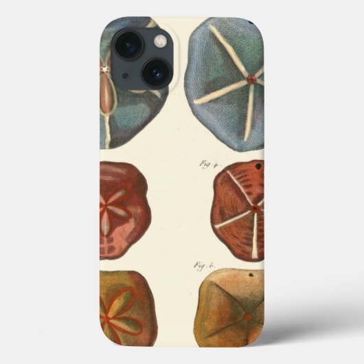Coques Case-Mate iPhone Gemmes Dollars De Sable (Verso)