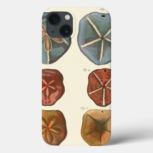 Coques Case-Mate iPhone Gemmes Dollars De Sable (Verso)