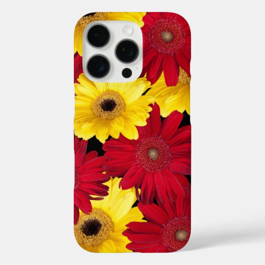 Coques Case-Mate iPhone Gerber Daisy Flower Gros plan Photographie (Verso)