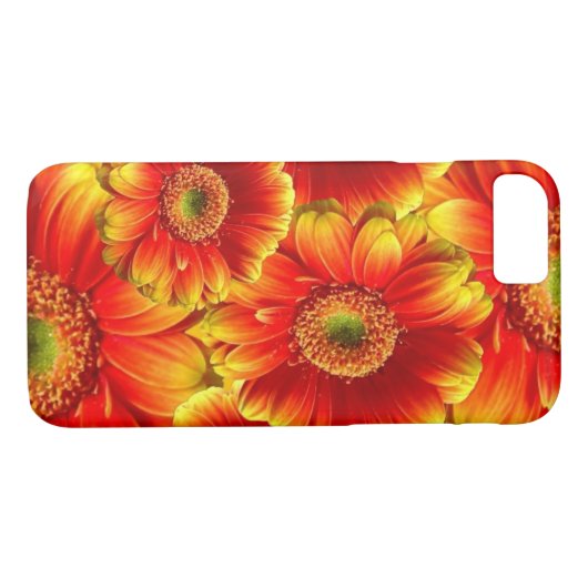 Coques Case-Mate iPhone Gerbera Daisies (Dos (Horizontal))