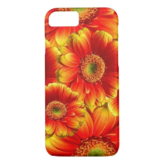 Coques Case-Mate iPhone Gerbera Daisies (Dos)