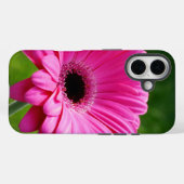Coques Case-Mate iPhone Gerbera Daisy rose et vert (Verso (horizontal))