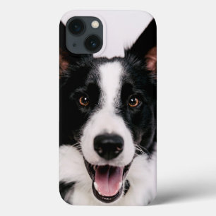 Etui iPhone Case-Mate Getty Images   A Smiling Border Collie