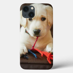 iPhone 13 Coque Getty Images Puppy On A Sofa