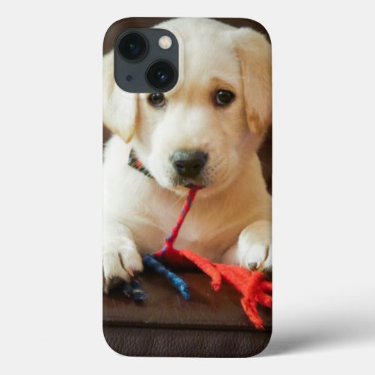 Coques Case-Mate iPhone Getty Images | Puppy On A Sofa (Verso)