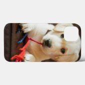 Coques Case-Mate iPhone Getty Images | Puppy On A Sofa (Verso (horizontal))