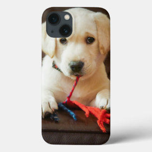 Case-Mate iPhone Case Getty Images Puppy On A Sofa