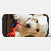 Coques Case-Mate iPhone Getty Images | Puppy On A Sofa (Verso (horizontal))
