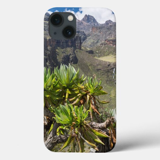 Coques Case-Mate iPhone Giant Groundsel Or Dendrosenecio (Verso)