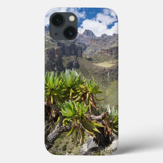 Coques Case-Mate iPhone Giant Groundsel Or Dendrosenecio (Verso)