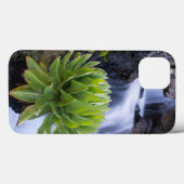 Coques Case-Mate iPhone Giant Groundsel Or Dendrosenecio 2 (Verso (horizontal))