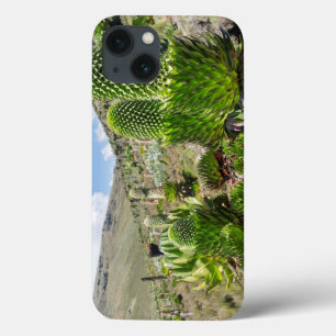 Etui iPhone Case-Mate Giant Lobelia (Lobelia Deckenii) In Mount Kenya